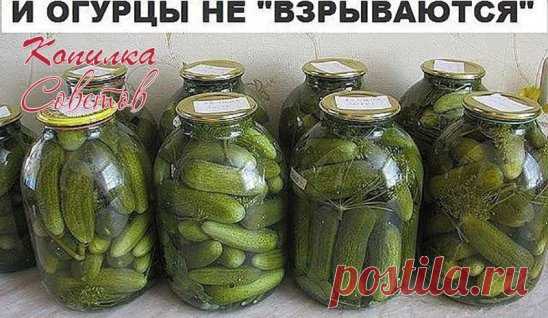 (4) Одноклассники