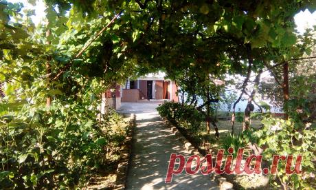 Отдыхаем на море за 400 руб. в день. | Побег в курятник | Яндекс Дзен