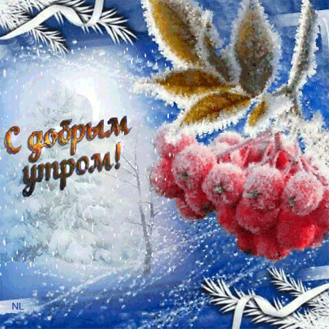 С добрым зимним утром! С утра желаю в дом тепла и уюта, мира, счастья и добра, и новостей самых чудесных! открытка зимняя с добрым утром
