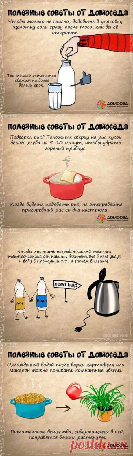 Полезные советы от Домоседа.