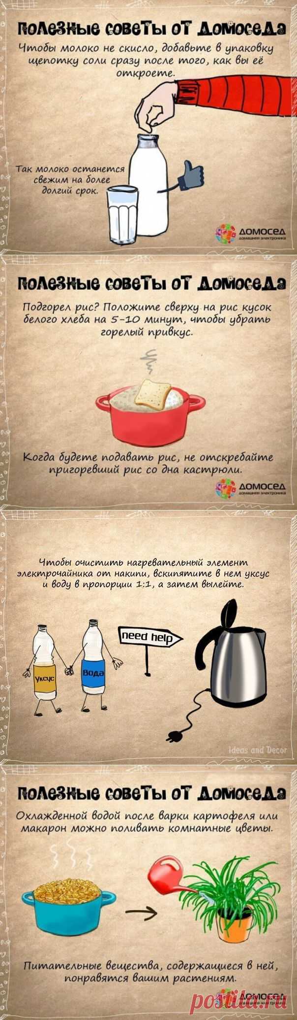 Полезные советы от Домоседа.