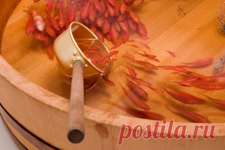 &quot;Спасение золотой рыбки&quot;. Японский художник Riusuke Fukahori.