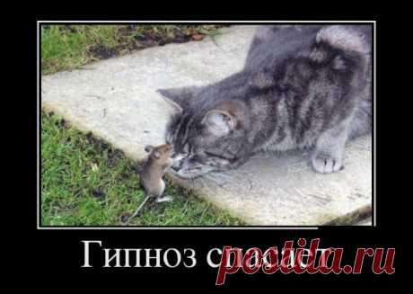 улыбнитесь!