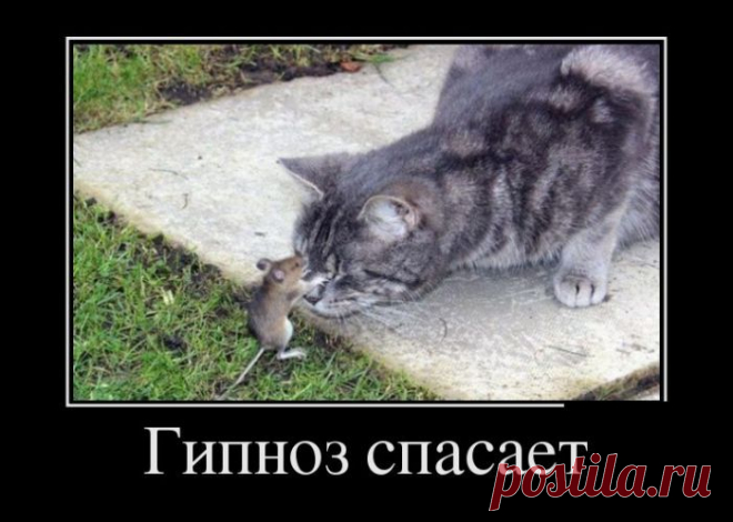 улыбнитесь!
