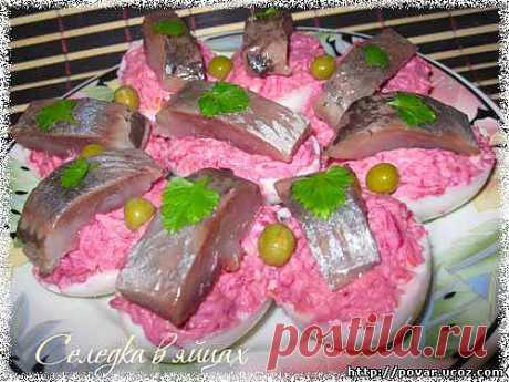Яйца с селедкой - Готовим сами
