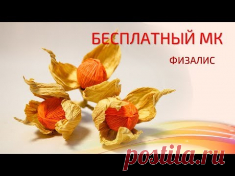 Бесплатный МК Физалис