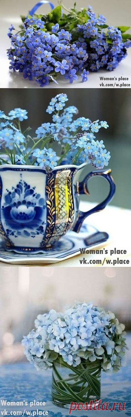 Woman's place|Прекрасная женщина, лучшая хозяйка