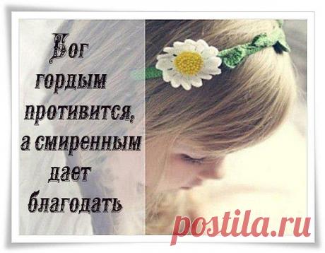 Фотоальбом «Мои фотографии» - Владимир, Санкт-Петербург, 51 год