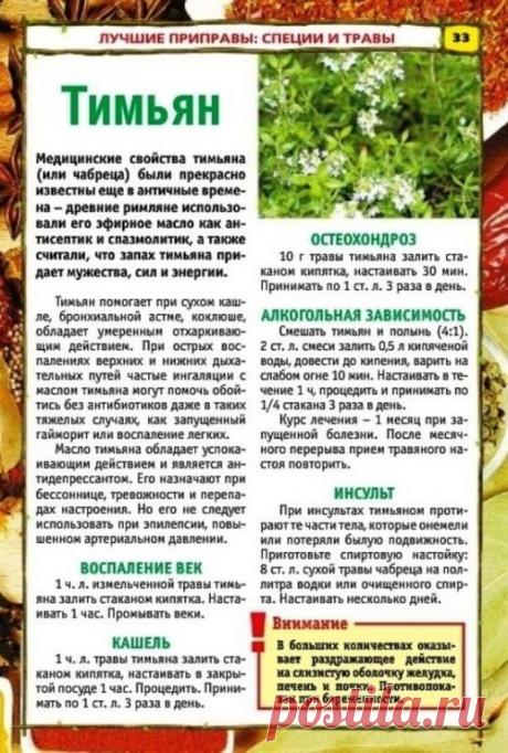 Цeлeбныe растеʜия и ᴨpиᴨpавы для нашеᴦo ɜдоровьᴙ․