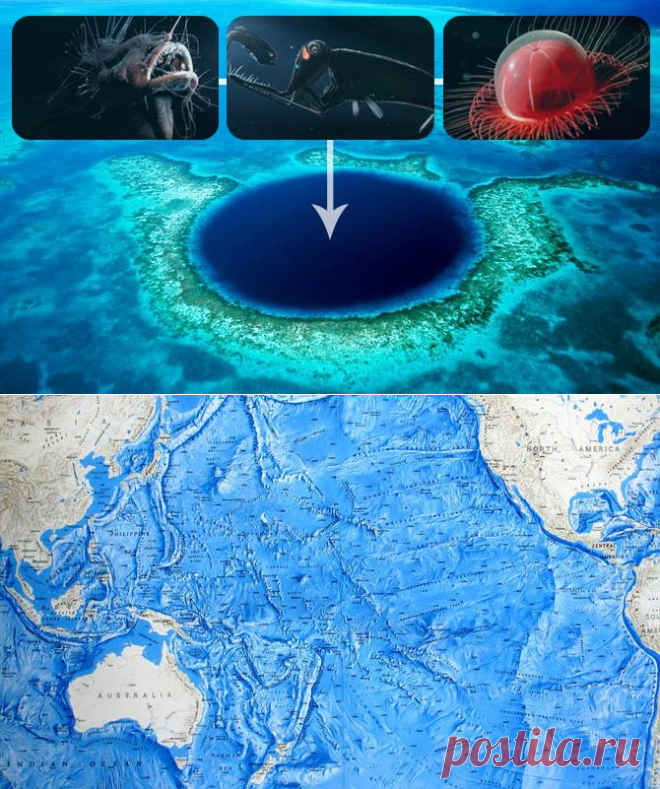 Интересные факты о тихом океане | LivePosts — последние новости, полезные статьи, обзоры