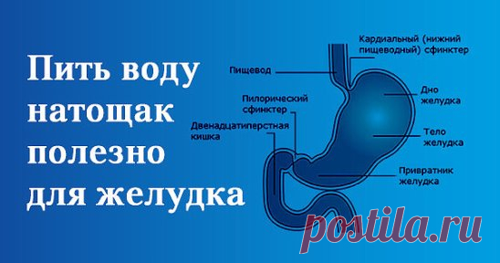 (46) Одноклассники