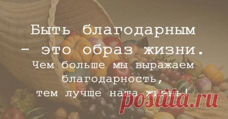 7 простых способов дарить благодарность. Быть благодарным — это образ жизни. Чем больше мы выражаем благодарность, тем лучше наша жизнь! К счастью, есть много способов ежедневно благодарить, когда мы идем по жизни.

Вот несколько идей о том, как добавить благодарность в повседневную жизнь: