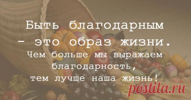 7 простых способов дарить благодарность. Быть благодарным — это образ жизни. Чем больше мы выражаем благодарность, тем лучше наша жизнь! К счастью, есть много способов ежедневно благодарить, когда мы идем по жизни.

Вот несколько идей о том, как добавить благодарность в повседневную жизнь: