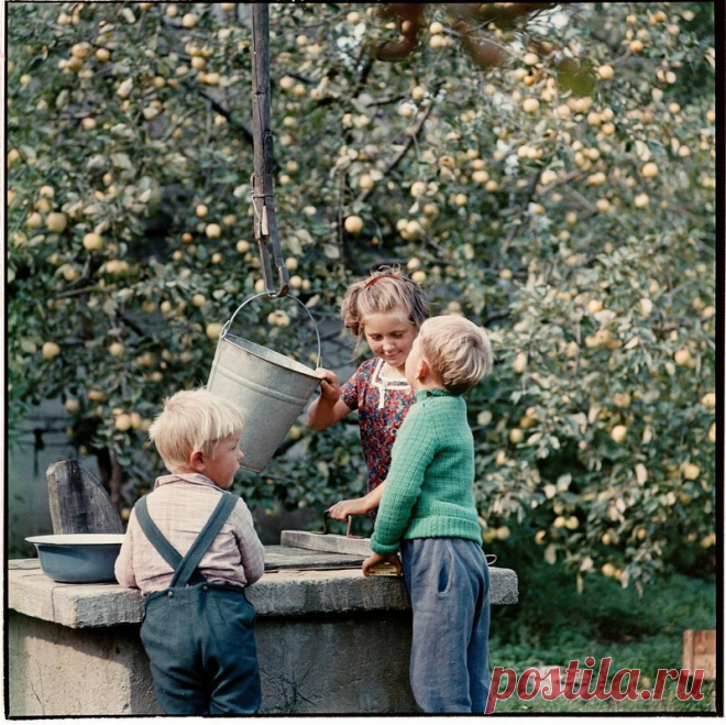 Счастливое советское детство 1950-х Фотоработы Семена Осиповича Фридлянда. Просто счастливые советские дети.