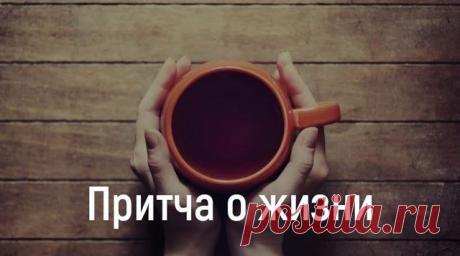 (3) Одноклассники