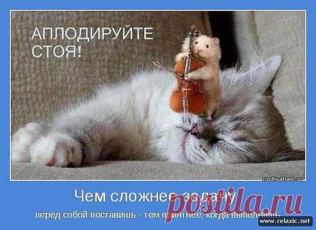 Наталья N
Россия, Россия