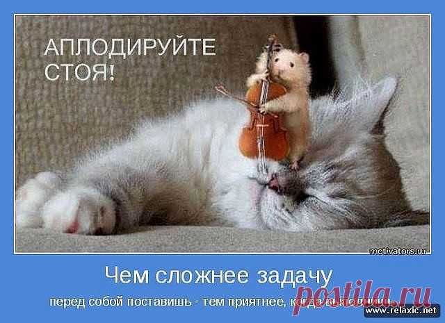 Наталья N
Россия, Россия