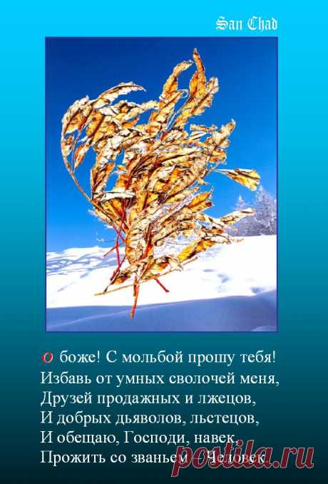САН ЧАД * ИЗБРАННЫЕ СОФИТЫ – 208 фотографий