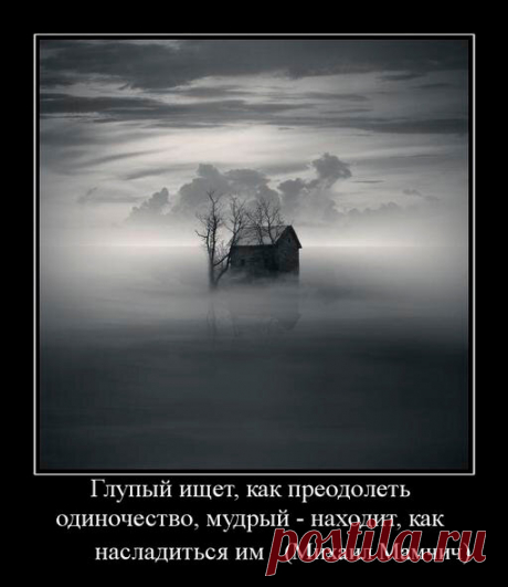 Афоризмы в картинках | Авторские Афоризмы | Яндекс Дзен