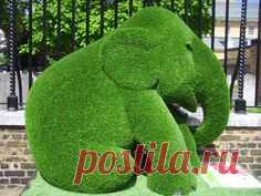 cute elephant topiary