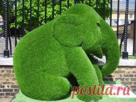 cute elephant topiary