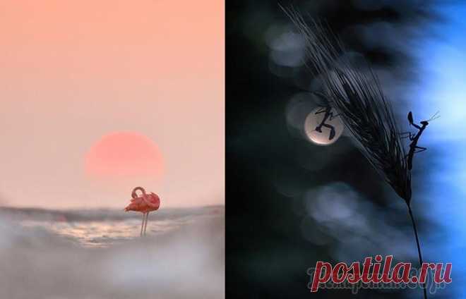 Завораживающие снимки победителей конкурса фотограф года WildArt 2021: Магия дикой природы WildArt Photographer of the Year — это относительно новый и весьма необычный конкурс фотографий дикой природы. Он создавался профессиональными фотографами дикой природы для профессиональных фотографов...