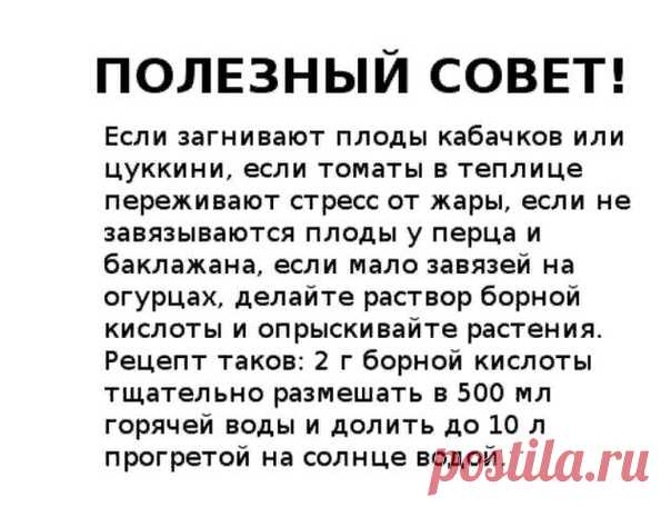 Екатерининский | Садовые растения, цветы,саженцы