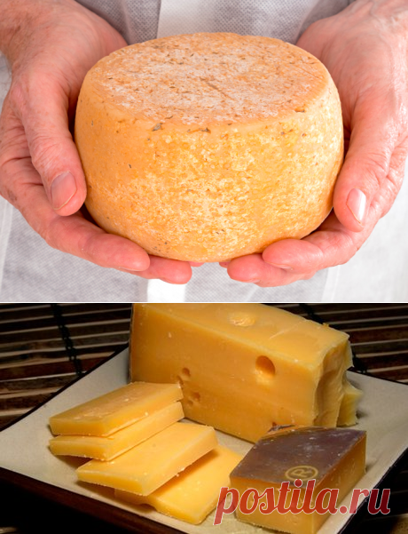 Рецепт сыра качотта