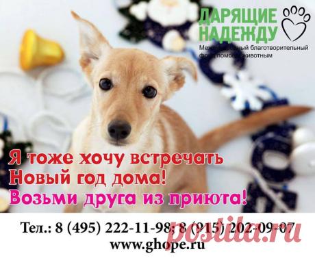 доброта