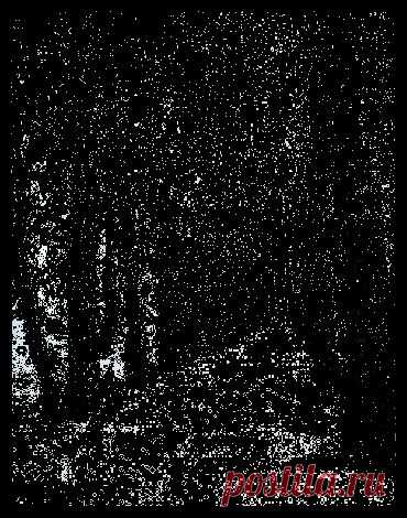 Богата негой жизнь природы,                                                                              Но с негой скорби в ней живут.