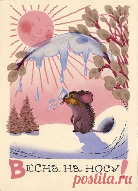 С.Бялковская. 1958г. | Винтаж открытки,