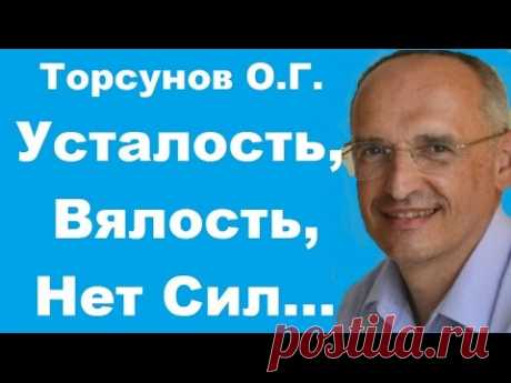Торсунов О.Г. Усталость, Вялость, Нет Сил... Уфа 19.12.2016