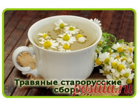 Я выживаю везде!: ТРАВЯНЫЕ СТАРОРУССКИЕ ЧАЙНЫЕ СБОРЫ