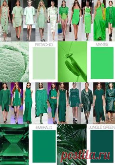 (1) Pinterest: scopri e salva idee creative