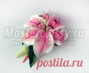 Пластика » Страница 6 » Master classy - мастер классы для вас
