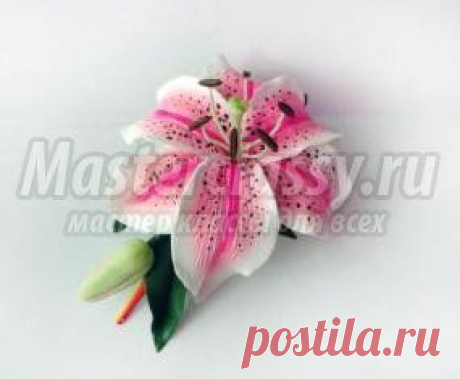 Пластика » Страница 6 » Master classy - мастер классы для вас