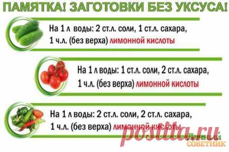 Дачный советник - дача | сад | огород