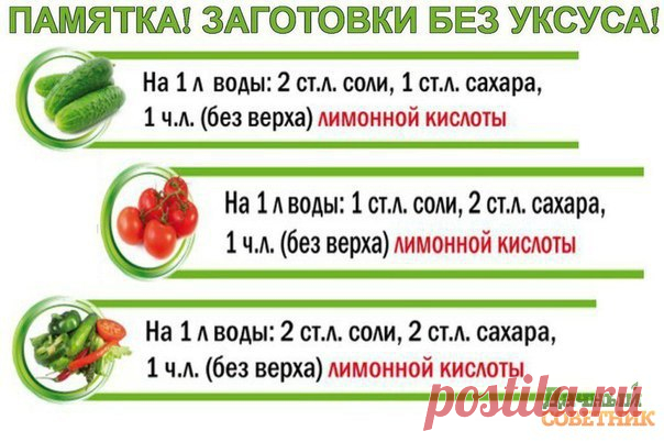 Дачный советник - дача | сад | огород