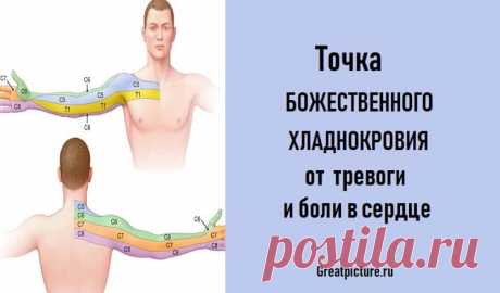 Точка божественного‭ ‬хладнокровия‭‬ от‭ ‬тревоги и боли в сердце
