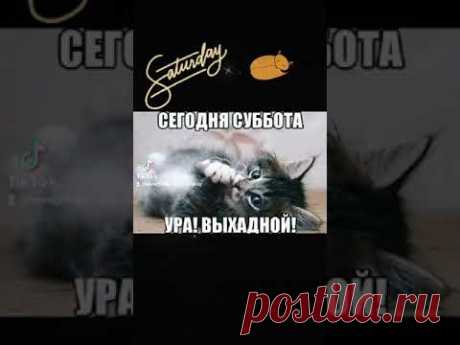 Позитивчик. ДОБРОЕ УТРО СУББОТЫ ! ... #доброеутросубботы