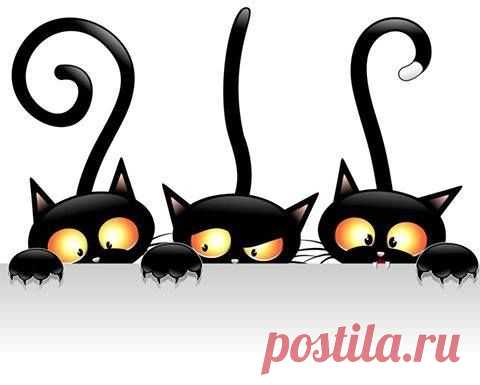 (6) Facebook