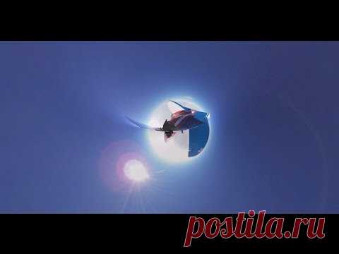 Видео 360º: высший пилотаж в стратосфере / Моя Планета