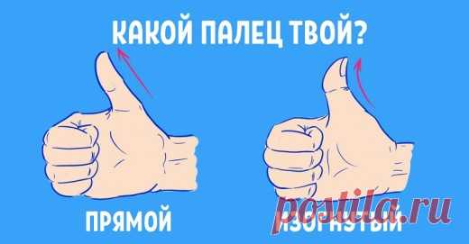 Угол изгиба большого пальца расскажет всё о тебе! | Golbis
