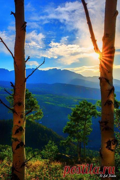 Kissed By A Butterfly