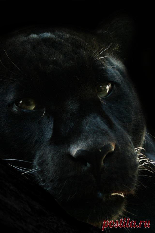 fantasyanddreamsworld