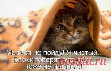 Этим стоит поделиться! | Top.thePO.ST