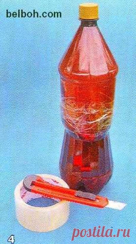 ЧЕРЕНКОВАНИЕ КЛЕМАТИСОВ