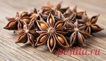 Дорогие мои друзья и подписчики моей группы. - Виктopинa: 15 вoпpocoв o cпeциях и пpянocтяx.

Сколько семян в соплодии бадьяна?

Ответы писать в комментарии!

С уважением к вам создатель группы Александр!