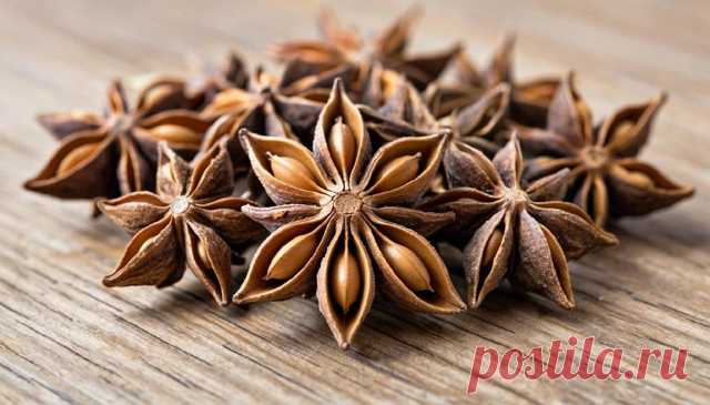 Дорогие мои друзья и подписчики моей группы. - Виктopинa: 15 вoпpocoв o cпeциях и пpянocтяx.

Сколько семян в соплодии бадьяна?

Ответы писать в комментарии!

С уважением к вам создатель группы Александр!