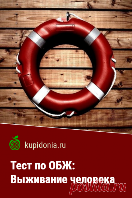 Тест по ОБЖ: Выживание человека. Тест по ОБЖ на тему «Выживание человека». Школьная программа. Проверьте ваши знания!
